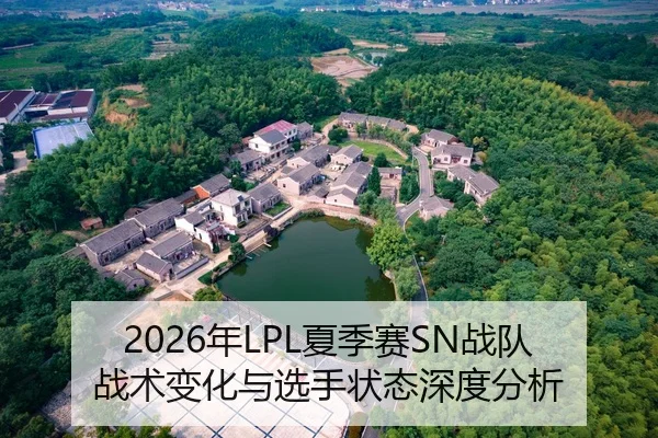 2026年LPL夏季赛SN战队战术变化与选手状态深度分析